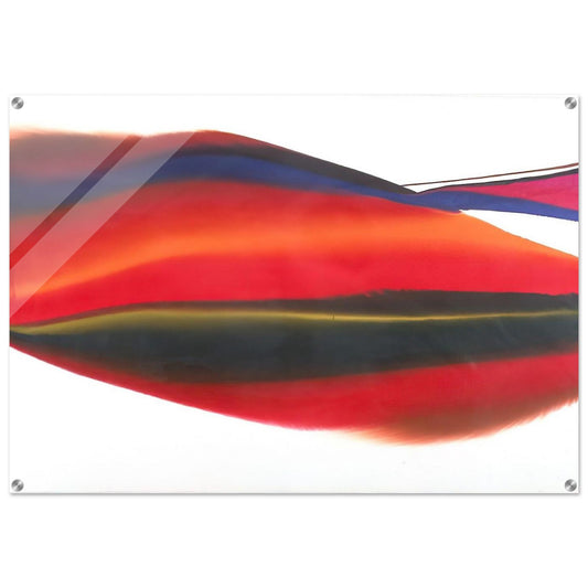 Phenomena Lands End - 1974 - Paul Jenkins Acrylic Print - 70x100 cm / 28x40″ inches | Paul Jenkins Wall Art | Paul Jenkins Prints