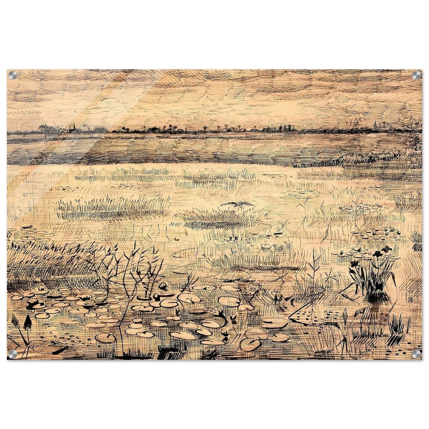 Marsh with Water Lillies - Vincent van Gogh Acrylic Print - 70x100 cm / 28x40″ inches
