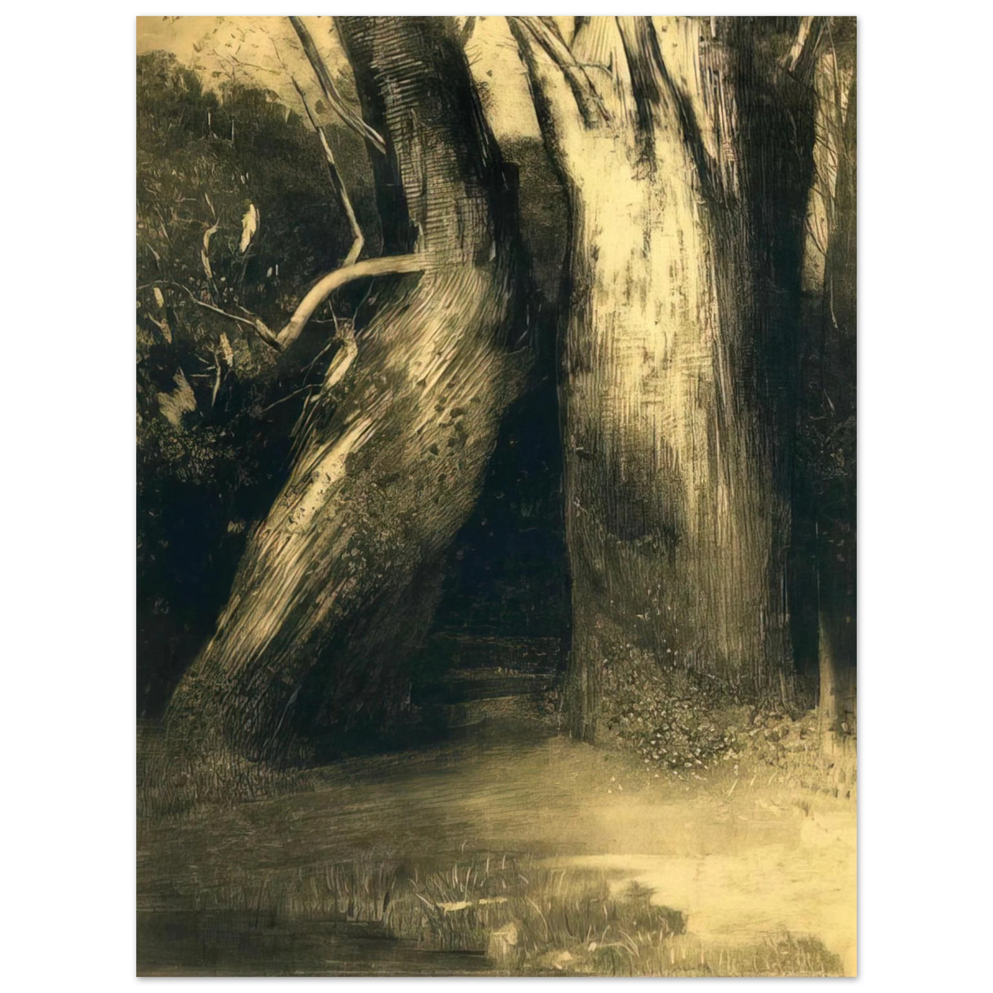 Odilon Redon - TWO TREES 1875  75x100 cm / 30x40inches Fine Art Poster