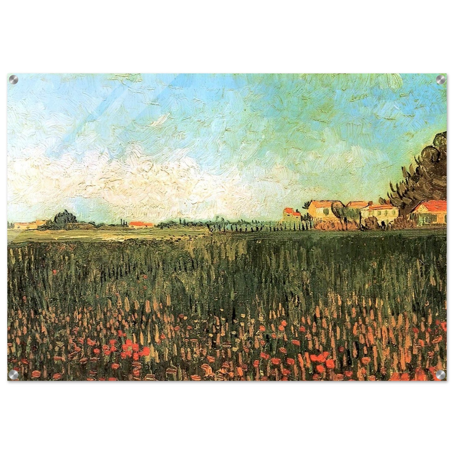 Farmhouses in a Wheat Field Near Arles - Vincent van Gogh Acrylic Print - 70x100 cm / 28x40″ inches
