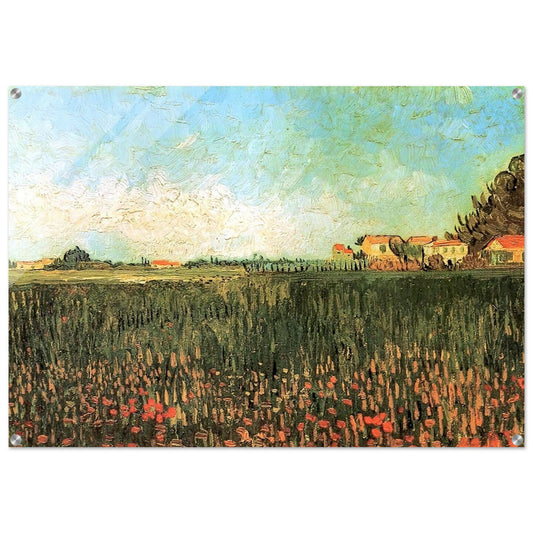 Farmhouses in a Wheat Field Near Arles - Vincent van Gogh Acrylic Print - 70x100 cm / 28x40″ inches