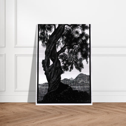 OLD OLIVE TREE CORSICA - MC Escher Brushed Aluminum Print - 70x100 cm / 28x40 inches | MC Escher Aluminum Print | MC Escher Prints