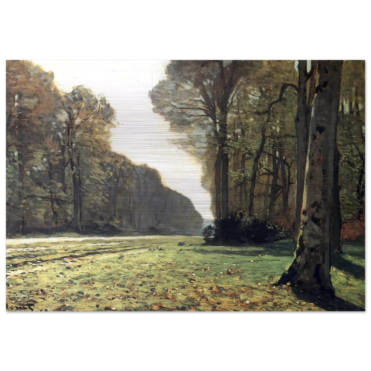 The Pave de Chailly in the Forest - claude monet Brushed Aluminum Print - 70x100 cm / 28x40 inches | claude monet Aluminum Print | claude monet Prints