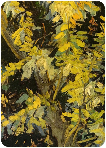 Blossoming Acacia Branches By Vincent van Gogh Pack of 10 Post Cards | Vincent van Gogh Post Cards | A6 (10.5 x 14.8 cm) - 4.1 x 5.8 inches