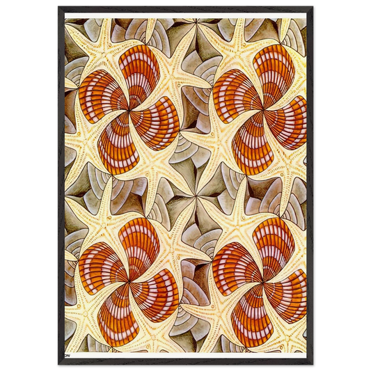SHELLS AND STARFISH - MC Escher 70x100 cm / 28x40 inches Framed Art Print – Black Wooden Frame | Maurits Cornelis Escher Prints