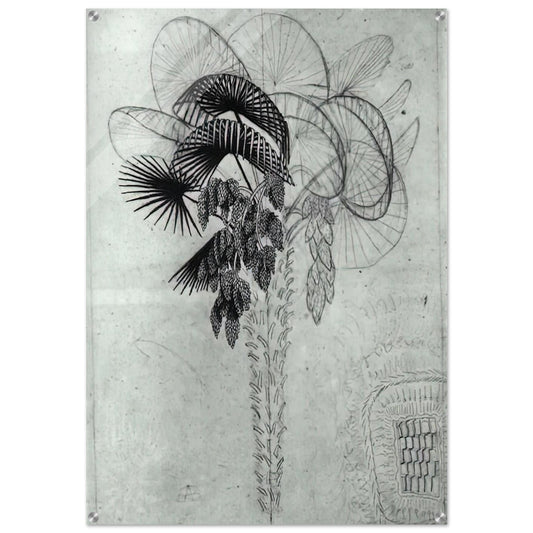 PALM TREE SKETCH - MC Escher Acrylic Print - 70x100 cm / 28x40″ inches | MC Escher Wall Art | MC Escher Prints