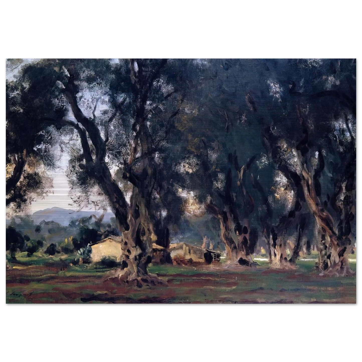 Olive Trees at Corfu - John Singer Sargent Brushed Aluminum Print - 70x100 cm / 28x40 inches | John Singer Sargent Aluminum Print | John Singer Sargent Prints
