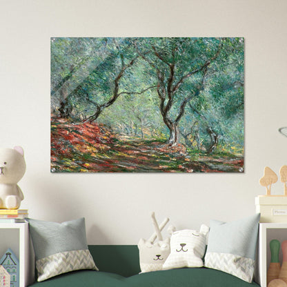 Olive Tree Wood in the Moreno Garden - claude monet Acrylic Print - 70x100 cm / 28x40″ inches | claude monet Wall Art | claude monet Prints