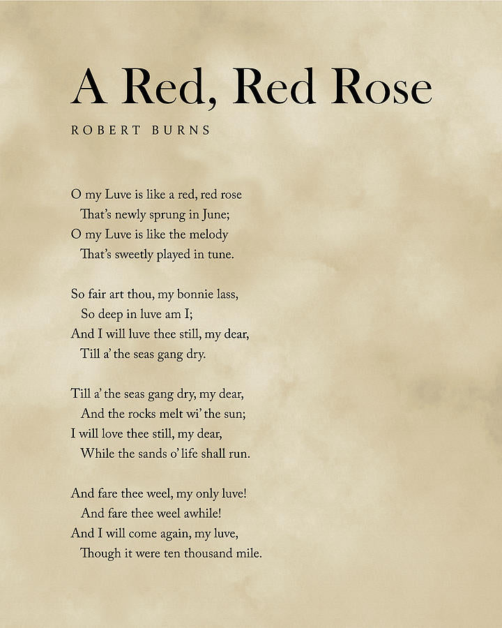 A Red, Red Rose by Robert Burns - Fine Art Print | RedKalion