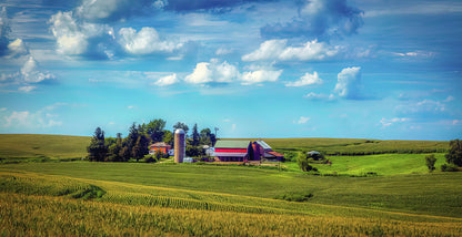 America's Breadbasket #2 Fine Art Print | RedKalion