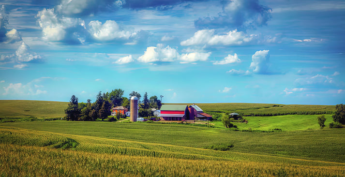 America's Breadbasket #2 Fine Art Print | RedKalion
