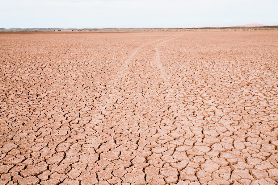 Barren Landscape Art Print | Premium Fine Art Print | RedKalion