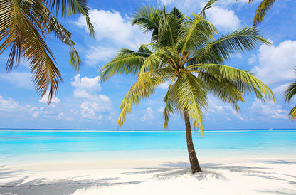 Beach Palm Trees Art Print | Tropical Beach Fine Art Print | RedKalion
