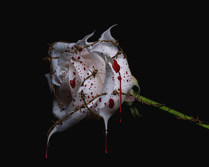 Bleeding Rose #1 Art Print | RedKalion