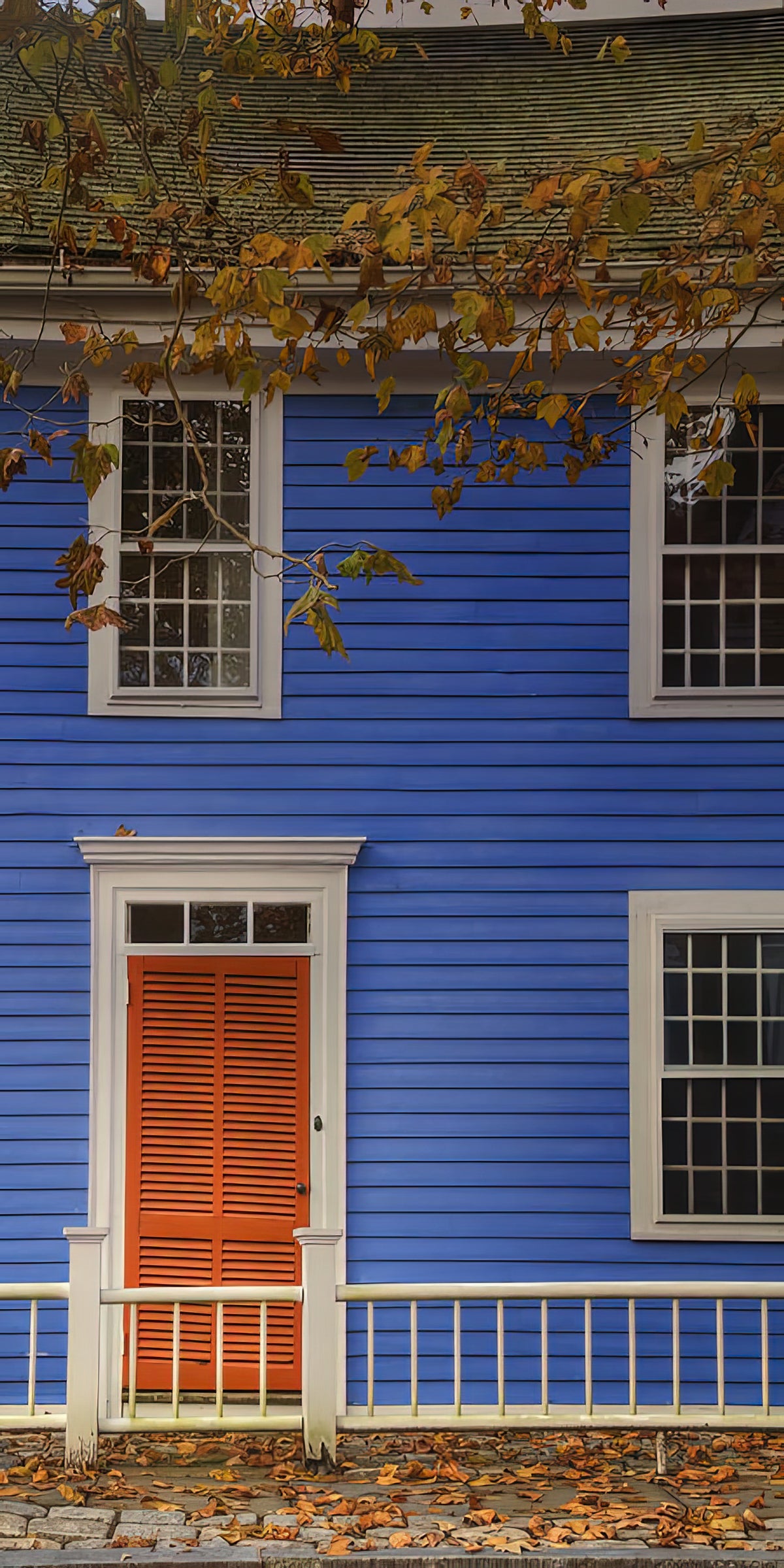 Blue House Red Door Fine Art Print | RedKalion