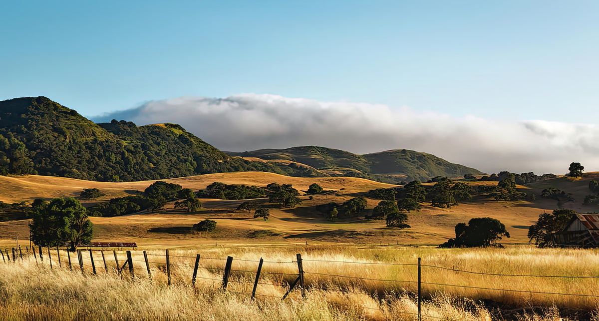 California Countryside Fine Art Print | RedKalion