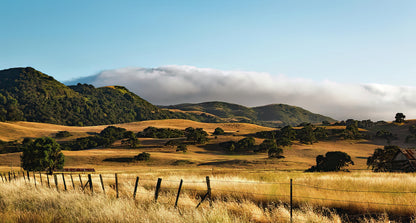 California Countryside Fine Art Print | RedKalion