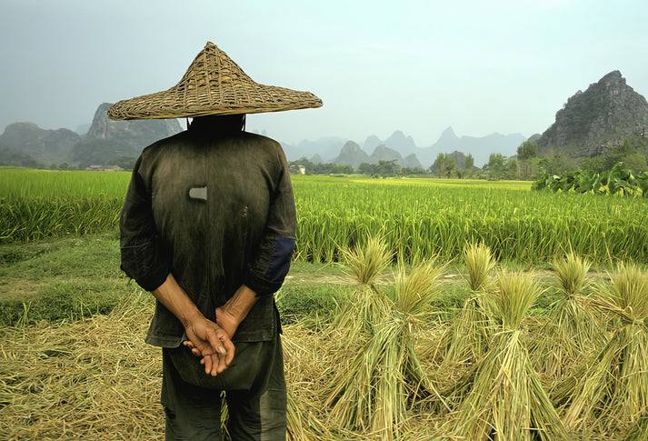 Chinese Rice Farmer Art Print | Museum-Quality Fine Art Print | RedKalion