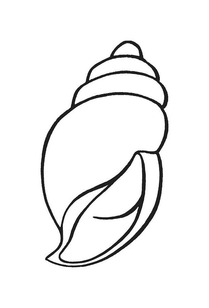 Conch Drawing Art Print | Museum-Quality Fine Art Print | RedKalion