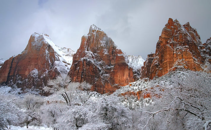 Court of the Patriarchs Art Print | Zion National Park Fine Art Print | RedKalion