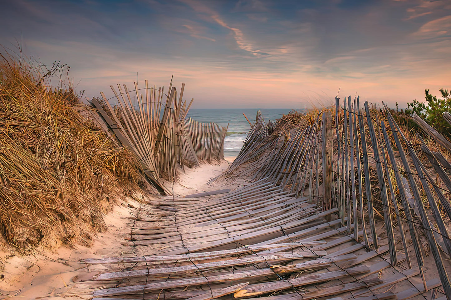 Flying Point Beach Path Southampton NY Art Print | RedKalion