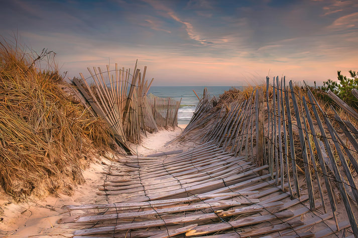 Flying Point Beach Path Southampton NY Art Print | RedKalion