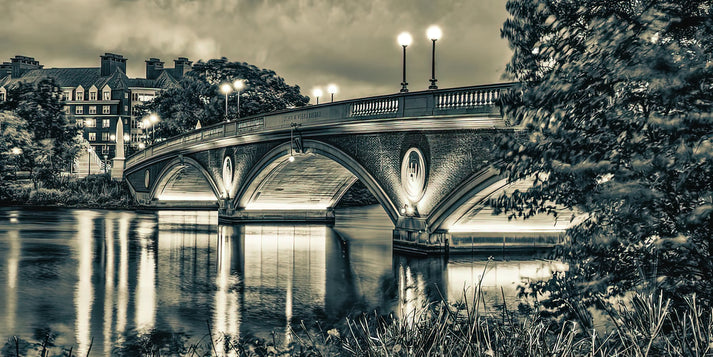 John W. Weeks Footbridge Sepia Panorama Art Print | RedKalion
