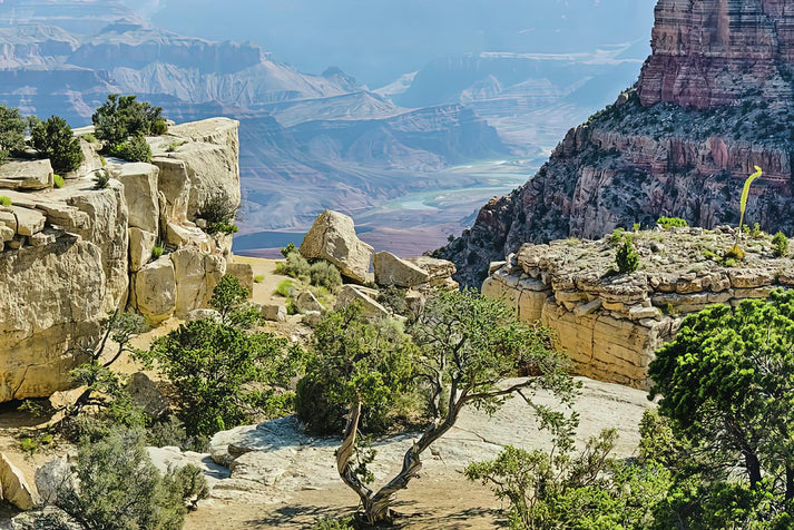 Moran Point Grand Canyon Fine Art Print | RedKalion