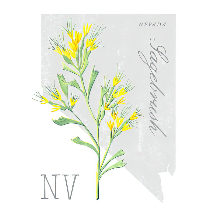 Nevada State Flower Sagebrush Art Print by Jen Montgomery | RedKalion