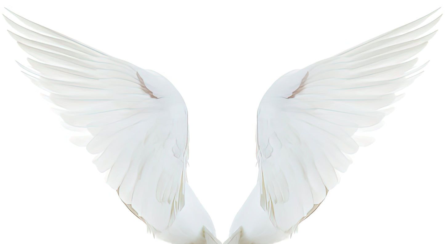 On the Wings of a Snow White Dove Art Print | RedKalion