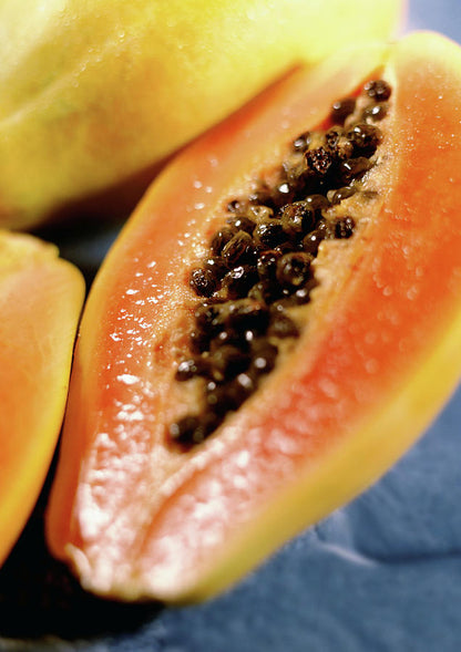 Papaya Inside Fine Art Print | Museum-Quality Botanical Illustration | RedKalion