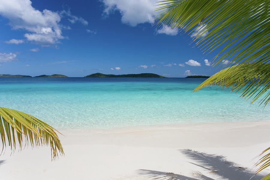 Paradise Background #1 Art Print | RedKalion