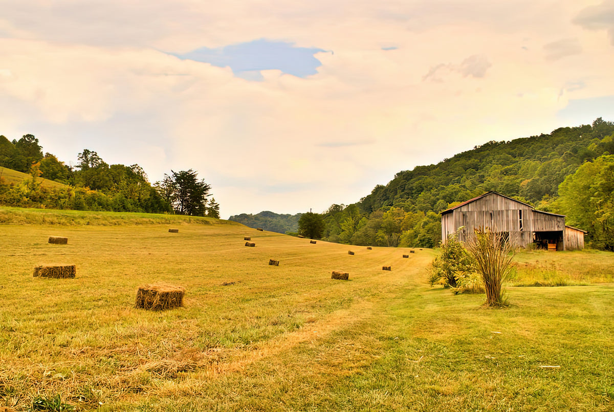 Pastorial Framland in Kentucky Art Print | RedKalion