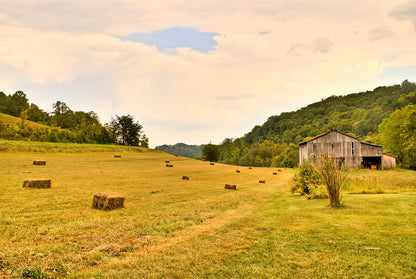 Pastorial Framland in Kentucky Art Print | RedKalion