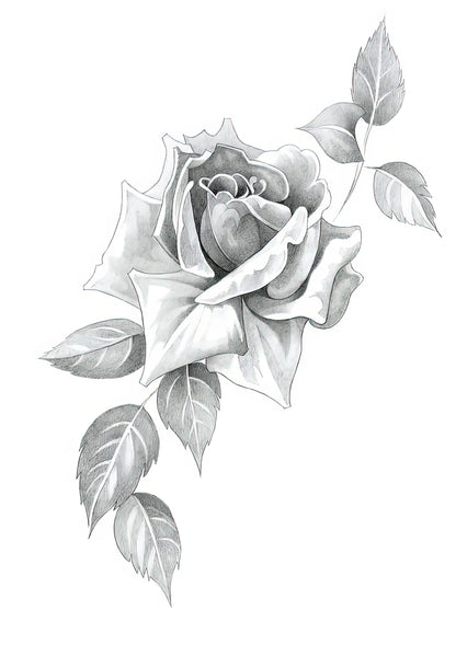 Pencil Drawing of Roses Art Print | RedKalion