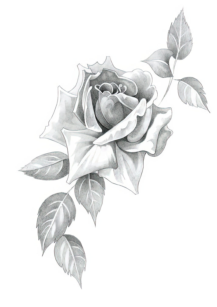Pencil Drawing of Roses Art Print | RedKalion