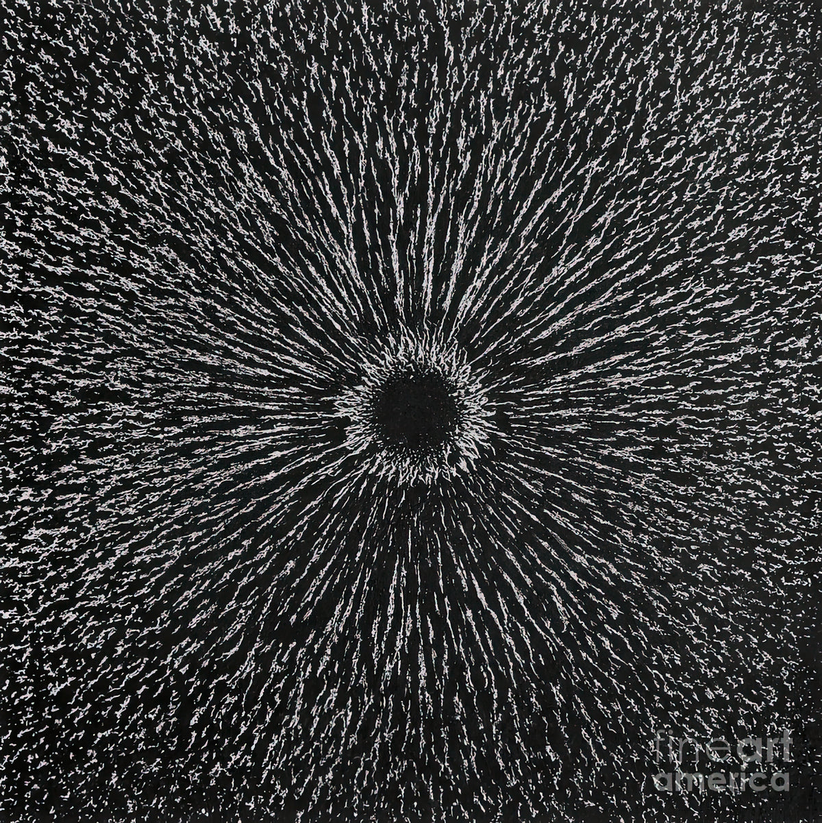 Pictures of a Magnetic Field: Magnetism #3 Fine Art Print | RedKalion