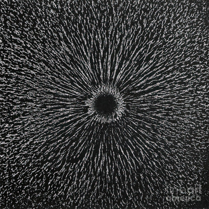 Pictures of a Magnetic Field: Magnetism #3 Fine Art Print | RedKalion