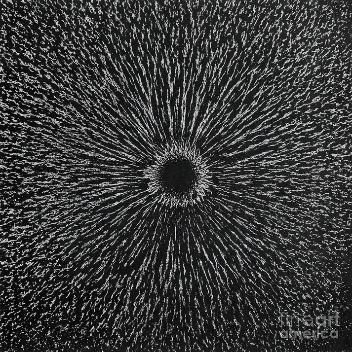 Pictures of a Magnetic Field: Magnetism #3 Fine Art Print | RedKalion