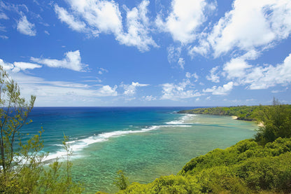 Pilaa Beach Lookout Art Print | Premium Fine Art Print | RedKalion