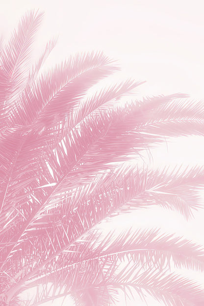 Pink Palm Leaves Fine Art Print | RedKalion