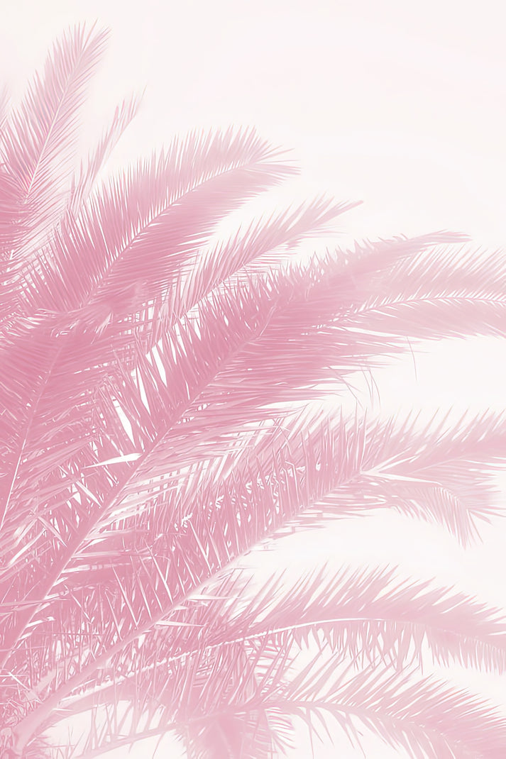 Pink Palm Leaves Fine Art Print | RedKalion