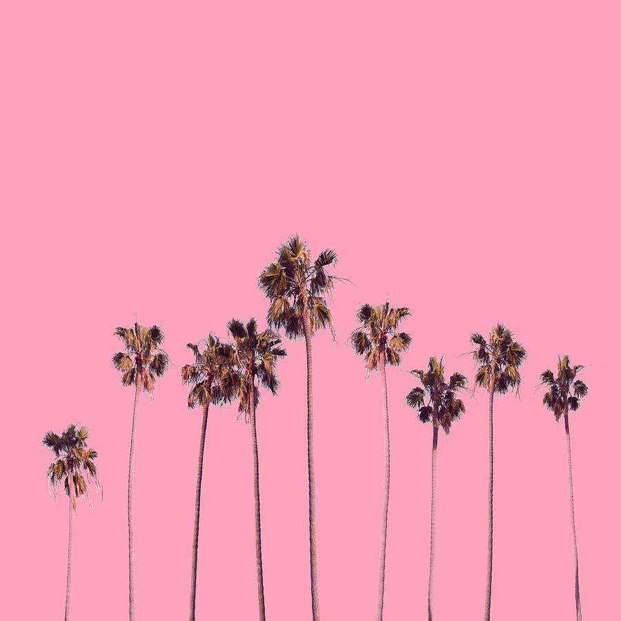 Pink Palm Trees Art Print | Museum-Quality Fine Art Print | RedKalion
