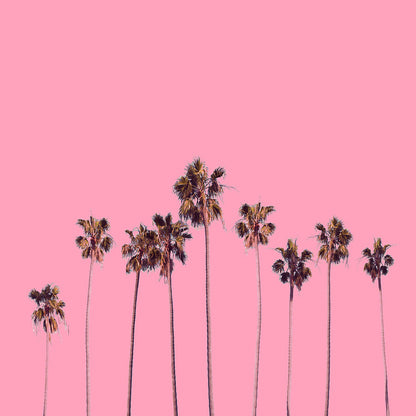 Pink Palm Trees Art Print | Museum-Quality Fine Art Print | RedKalion