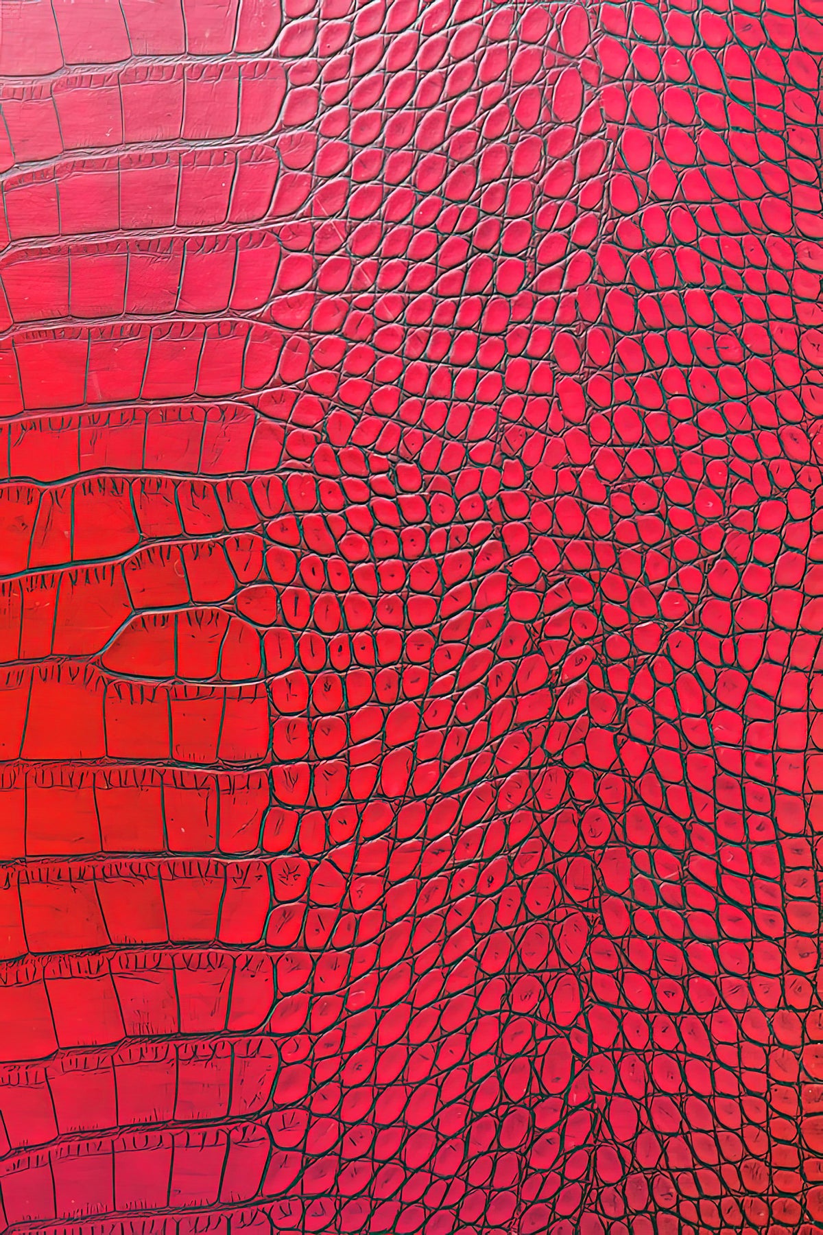 Red Alligator Art Print | Premium Fine Art Print | RedKalion