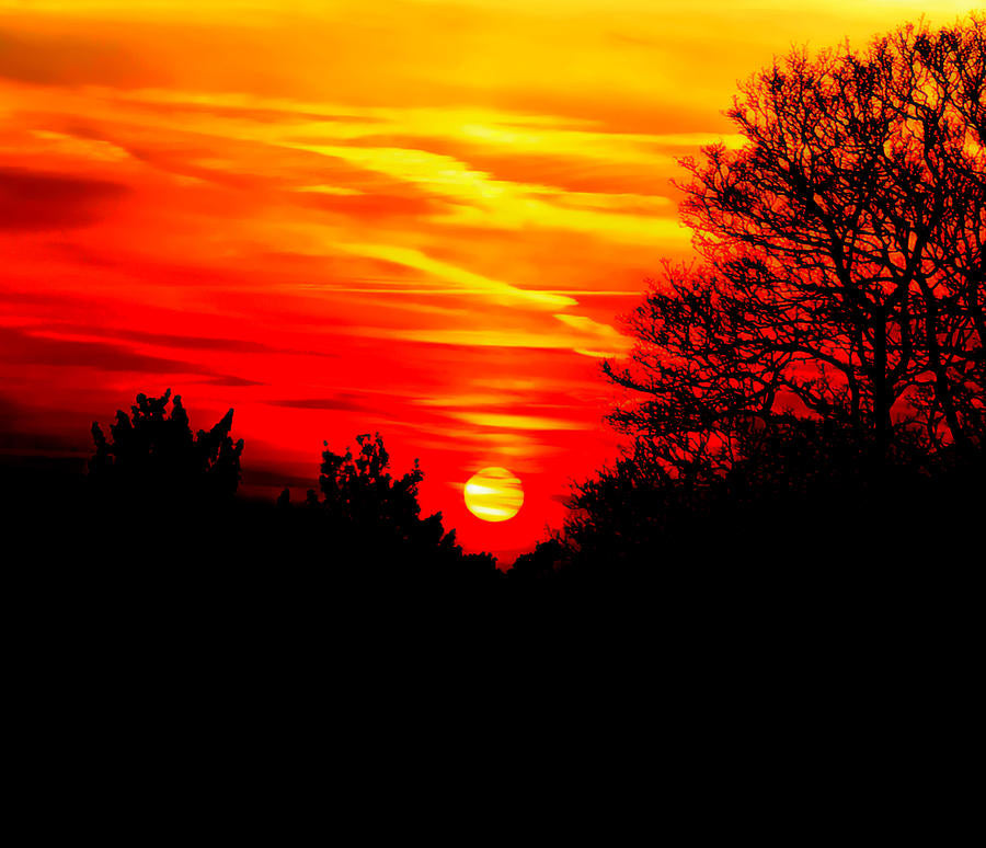 Red in the Sunset Art Print | RedKalion
