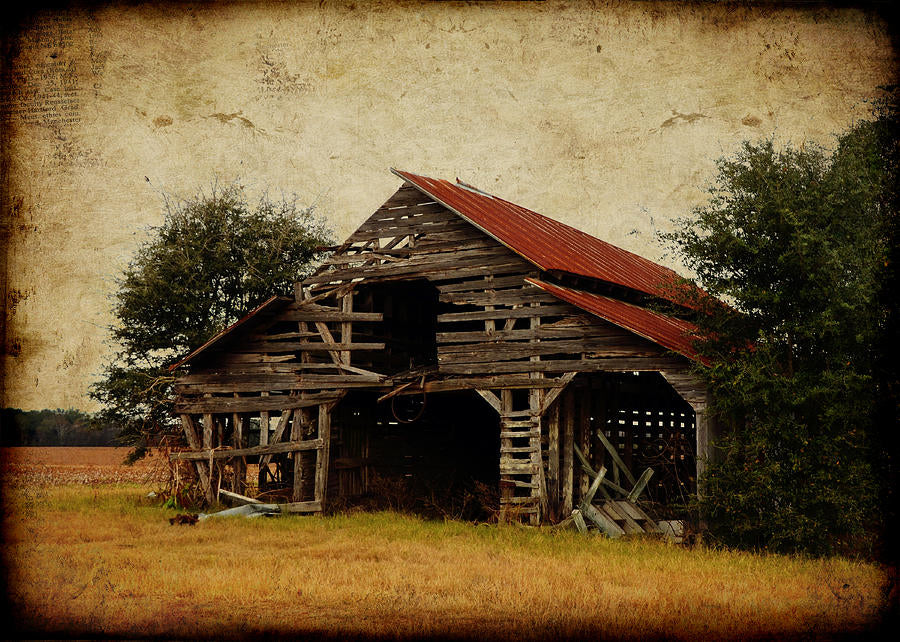 Southern Country Road Art Print | Museum-Quality Fine Art Print | RedKalion