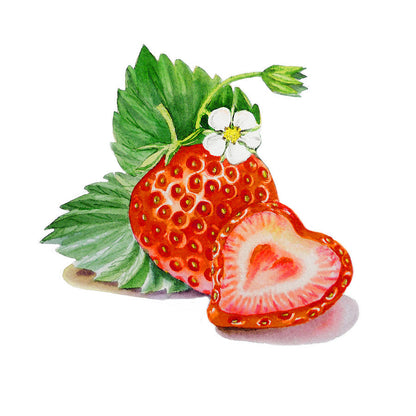 Strawberry Painting Art Print | Premium Fine Art Reproduction | RedKalion