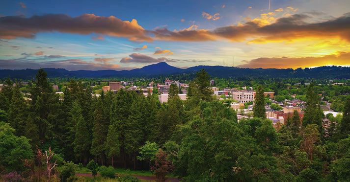 Sunset over Eugene, Oregon from Skinner Butte Lookout Art Print | RedKalion