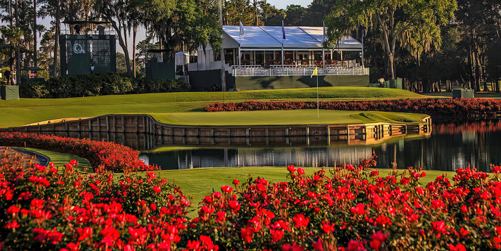 TPC Sawgrass Hole 17 Art Print | Premium Golf Course Photo | RedKalion